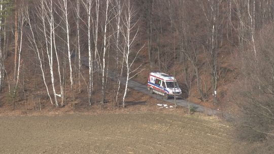 Ryglice. Śmiertelny wypadek podczas wycinki drzew. Nie żyje 67-latek