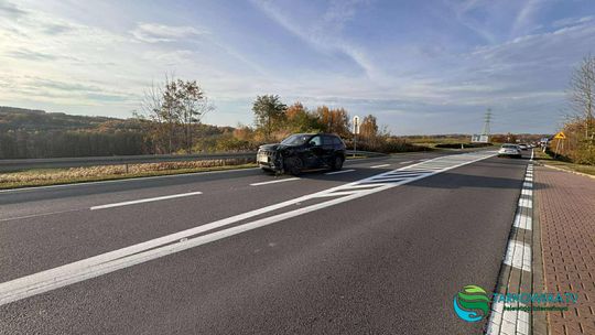 Sarna nie przeżyła zderzenia z Jeepem pod Tarnowem