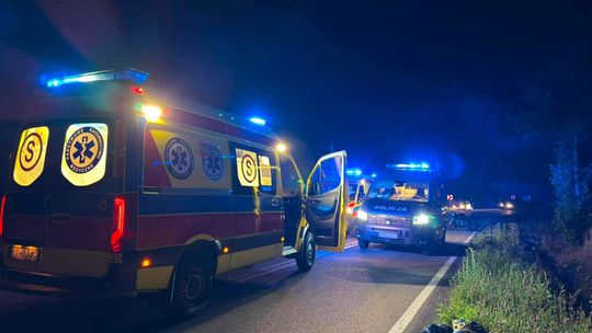 Sarna wbiegła wprost pod motocykl. Dwie osoby trafiły do szpitala, droga była zablokowana