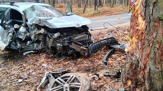 Skoda zderzyła się z drzewem w powiecie krakowskim. Dziecko trafiło do szpitala Skoda zderzyła się z drzewem w powiecie krakowskim. Dziecko trafiło do szpitala