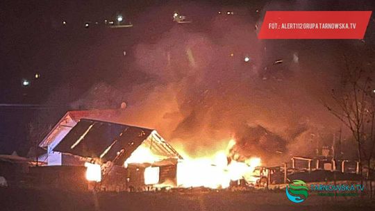 Strażacy gaszą pożar budynku gospodarczego w Łękawcy. Doszło do wybuchu! Poszkodowany mężczyzna w szpitalu