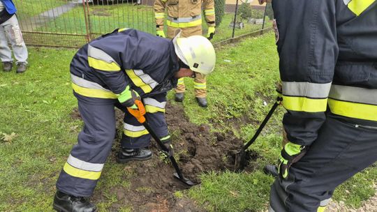 Strażacy ze Starych Żukowic ratowali pieski, które utknęły w drogowym przepuście