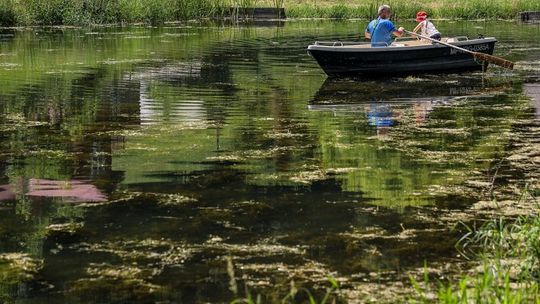 Święto Jurajskich Winnic w Ojcowie