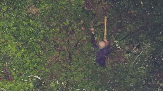 Szczęśliwy finał nocnych poszukiwań 81-letniego mieszkańca Woli Lubeckiej - wideo z poszukiwań