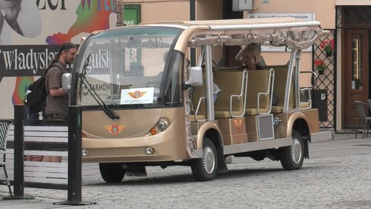 Tarnów: frekwencyjny sukces enomeleksa. Kursy także w październiku