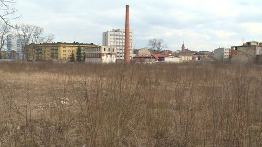 Tarnów. Powstanie 9 nowych bloków na terenie byłego Owintaru? Jest raport środowiskowy dotyczący inwestycji