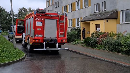 Tarnów. Rozpaliła ognisko by ugotować obiad. Zadymienie w bloku przy Bitwy pod Studziankami