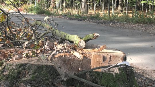 Tarnów. Ulicę Pasterską czeka rozbudowa