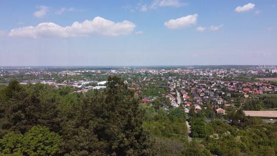 Tarnów. Wybory do rad osiedlowych nie we wszystkich dzielnicach 