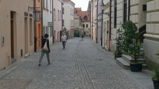 Tarnowskie Centrum Informacji zaprasza na bezpłatne wakacyjne „Spacerki”!