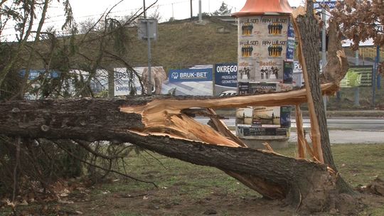 Trwa sprzątanie po nocnych wichurach. Żywioł nie oszczędził dachów jednostek tarnowskiej straży