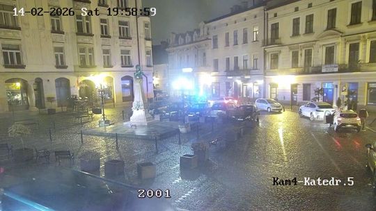 Upodobali sobie parkowanie w centrum Tarnowa. Straż miejska wystawiła 18 wezwań zakochanym