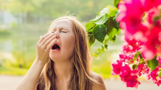 Wiosenne alergie jak sobie z nimi radzić