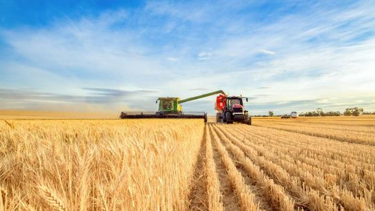 Wojna destabilizuje rynek zbóż.. To oznacza tylko jedno: podwyżki cen
