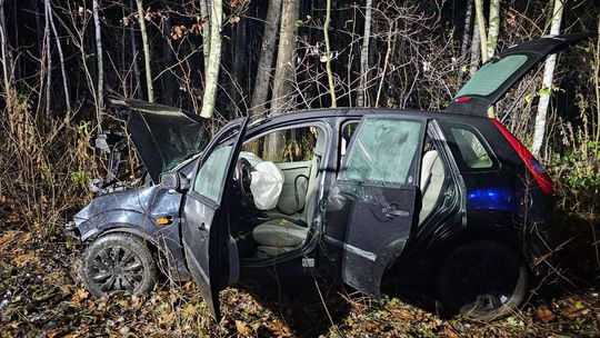 Wypadek między Luszowicami a Smykowem. Kierowca zniknął z miejsca zdarzenia