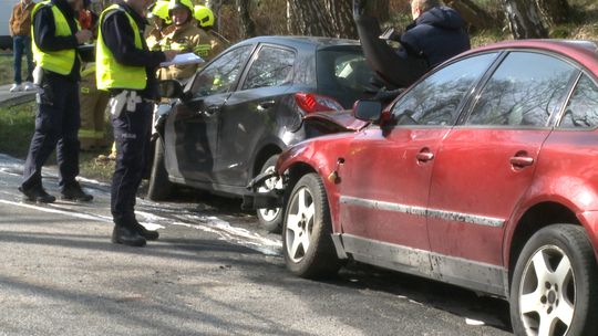 Wypadek na drodze powiatowej w Pleśnej, dwie osoby pogotowie zabrało do szpitala