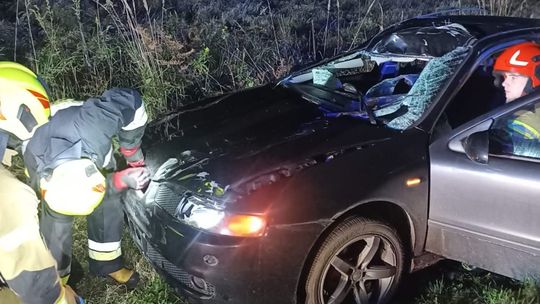 Wypadek w Smykowie. Samochód osobowy zderzył się z łosiem. Jedna osoba poszkodowana Wypadek w Smykowie. Samochód osobowy zderzył się z łosiem. Jedna osoba poszkodowana