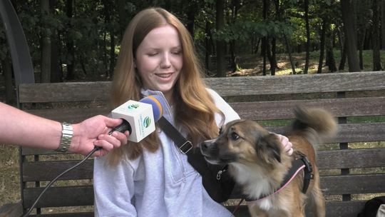 Za co tarnowianie kochają swoje psy? [SONDA]