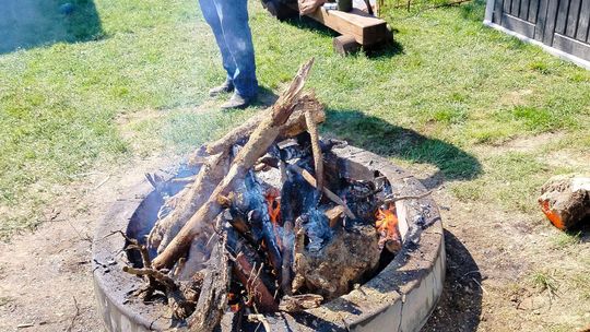 Zapalili ognisko - dostali mandat od Straży Miejskiej Zapalili ognisko - dostali mandat od Straży Miejskiej