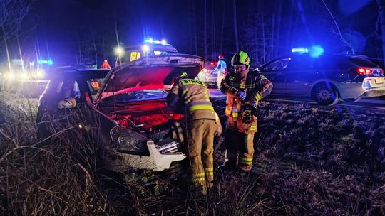 Zdarzenie drogowe na DK73 pod Szczucinem. Samochód zderzył się z dzikami