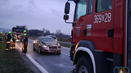 Zderzenie z dziką zwierzyną na DW975. Były utrudnienia w ruchu pod Wojniczem