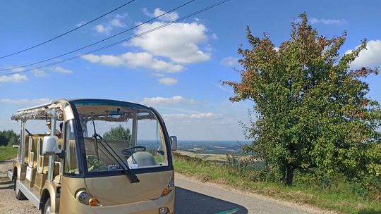 Złoty EnoMeleks od dziś wraca na ulice Tarnowa