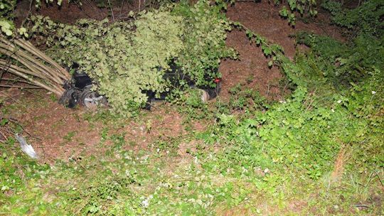 Zwierzyna leśna powodem groźnego wypadku w okolicach Tuchowa