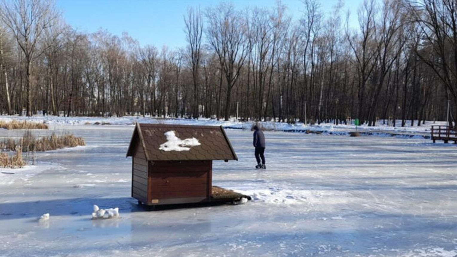 60-latek śmigał na łyżwach po zamarzniętym lodzie w "Parku Piaskówka". Interweniowała Straż Miejska