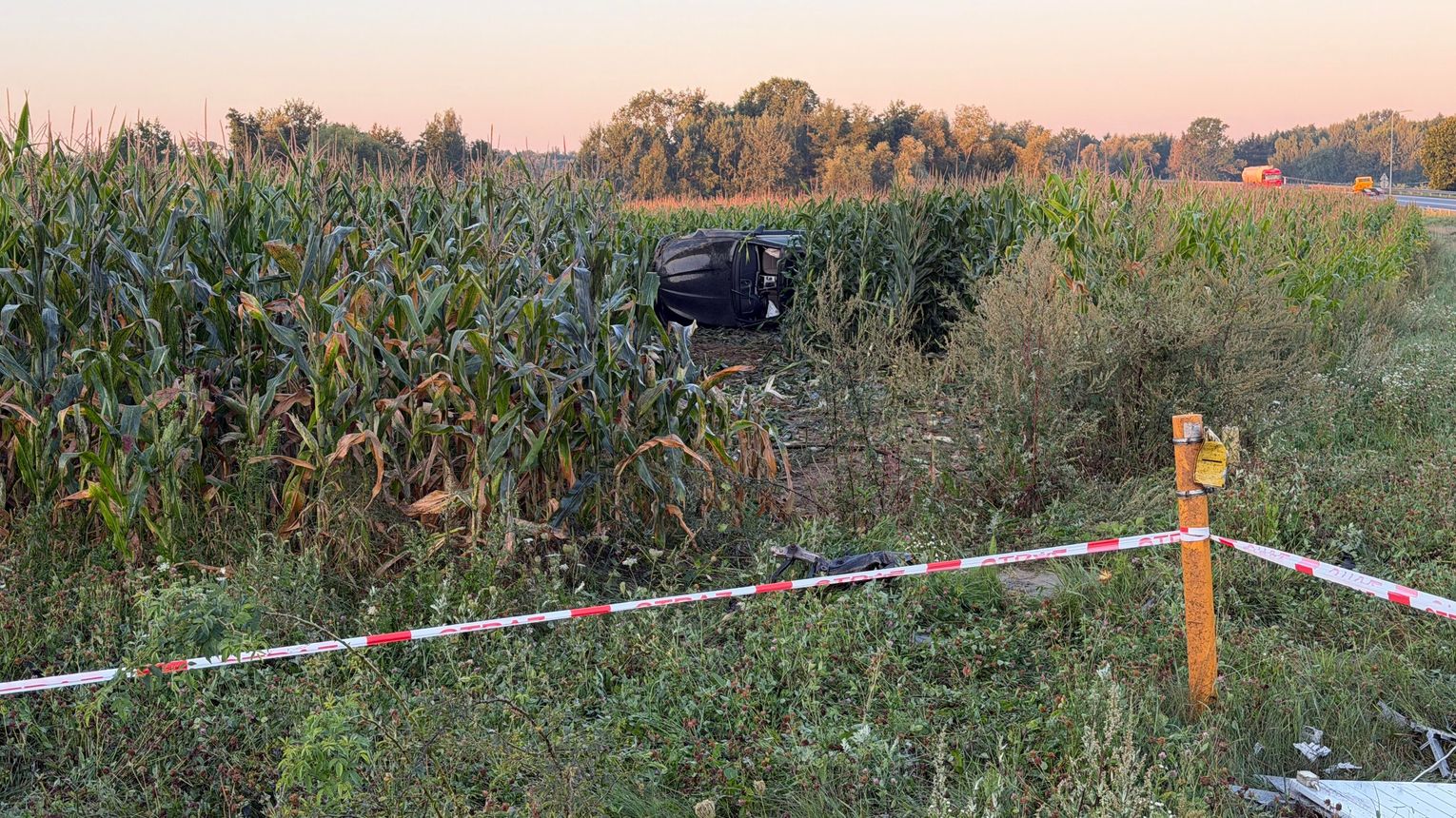 BMW dachowało w polu kukurydzy w Dąbrowie Tarnowskiej. Dwóch mężczyzn trafiło do szpitala