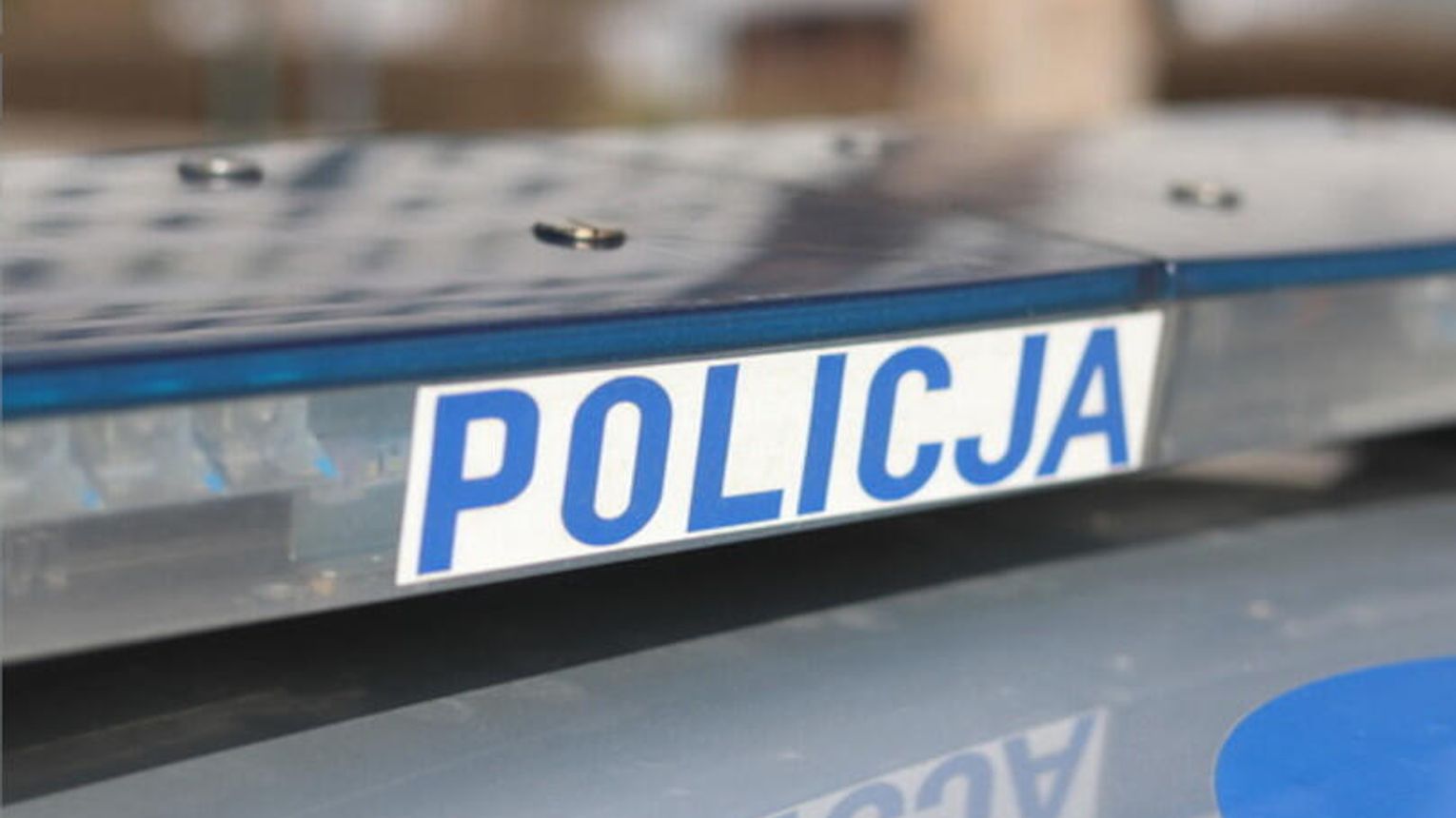 Dąbrowscy Policjanci zabezpieczyli krzewy marihuany