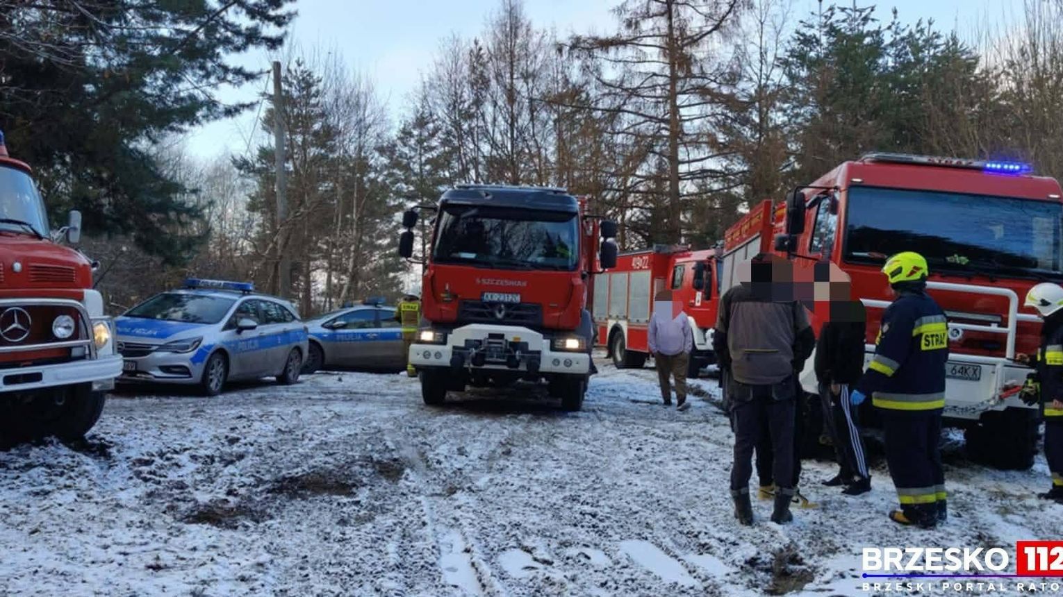 Kobieta przygnieciona przez drzewo w lesie. Na miejscu strażacy z dwóch powiatów