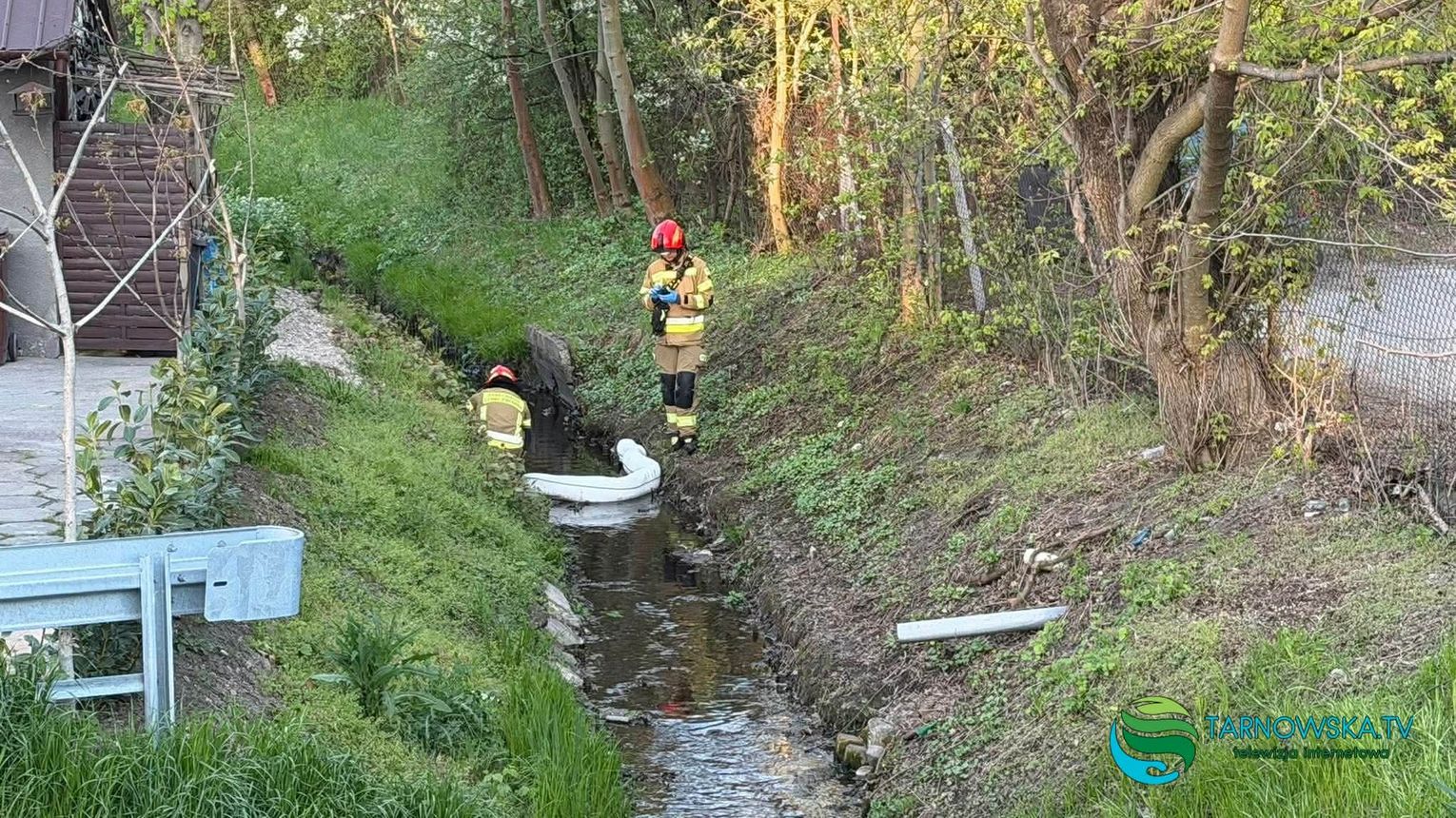 Nieznana substancja w potoku Strusinka. Akcja służb w Tarnowie