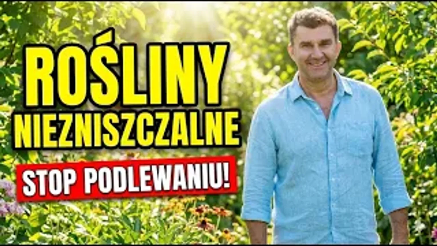 Niezniszczalne rośliny na suszę