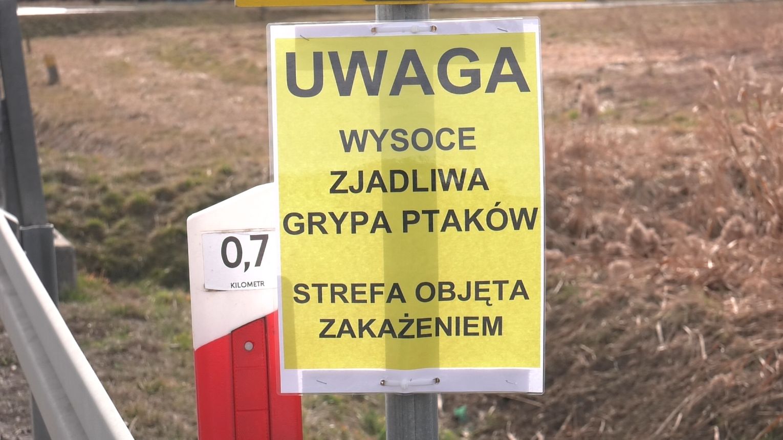 Ognisko wysoce zjadliwej grypy ptaków pod Tarnowem