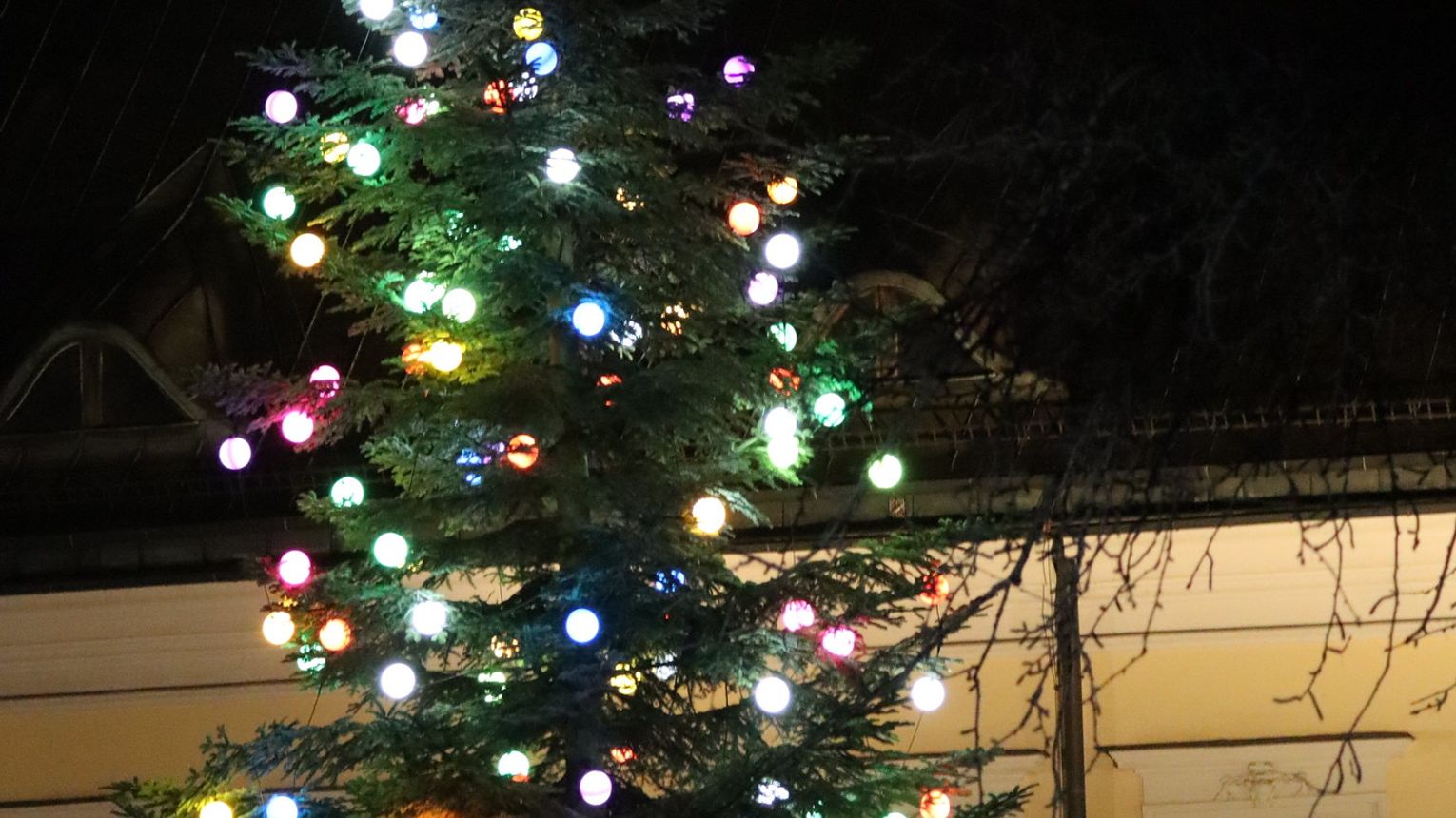 Po raz 19. rozbłysła Choinka pod Oknem Papieskim. Po raz pierwszy rozświetlił ją kard. Grzegorz Ryś