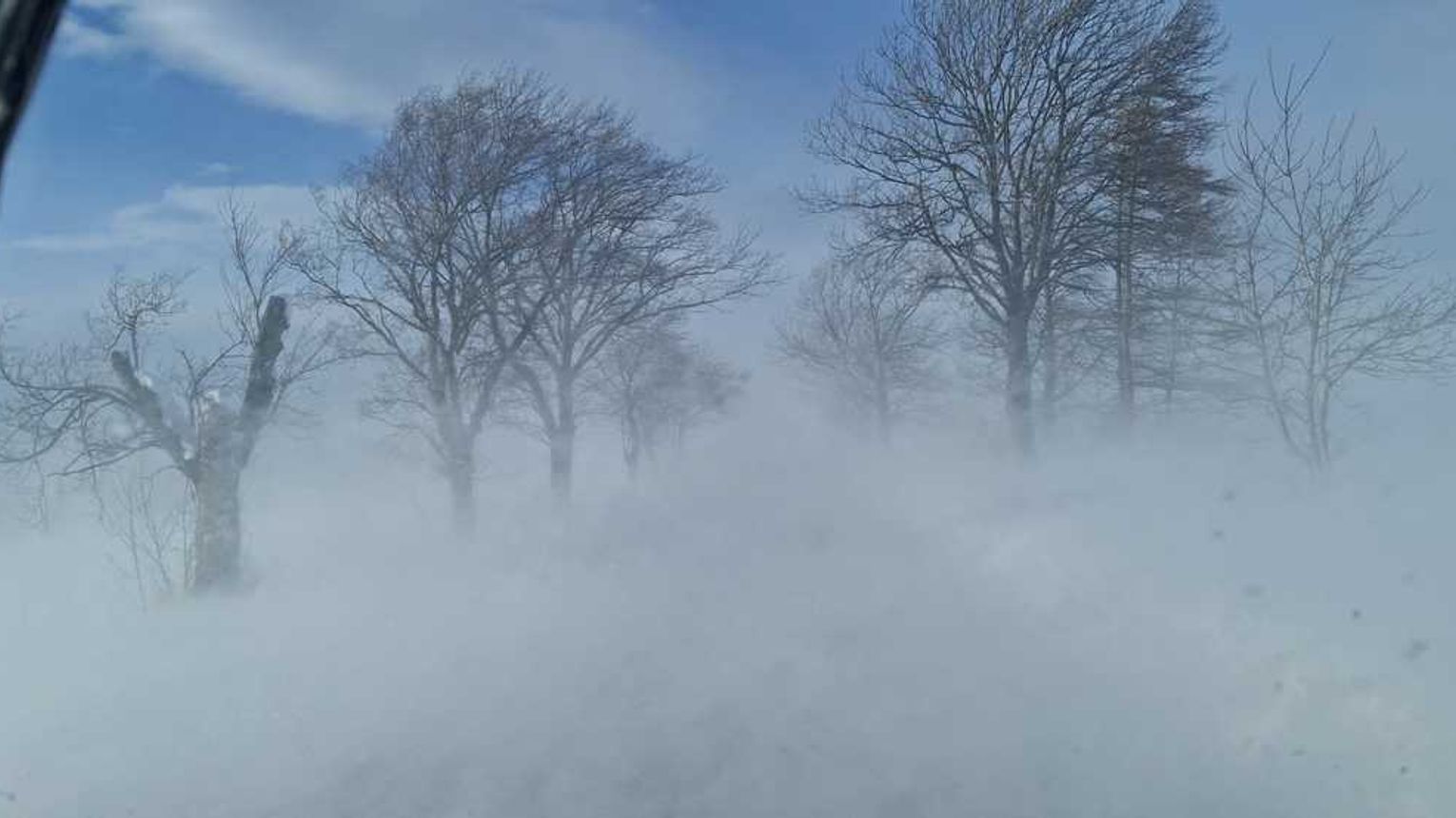 Policjanci ewakuowali osoby uwięzione przez zamieć śnieżną w swoich samochodach