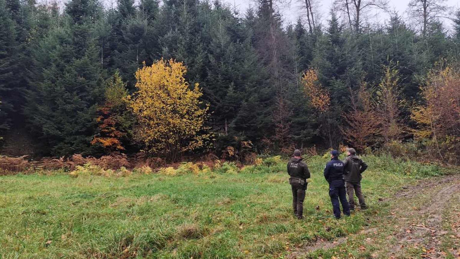 Policyjno-leśne patrole w gminie Tarnów. Kontrole terenów leśnych i zatrzymanie motocyklisty