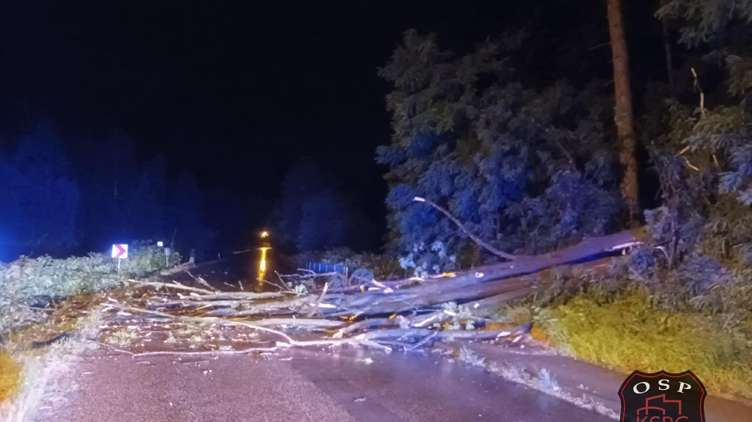 Ponad 60 interwencji strażaków po nocnej burzy w regionie tarnowskim