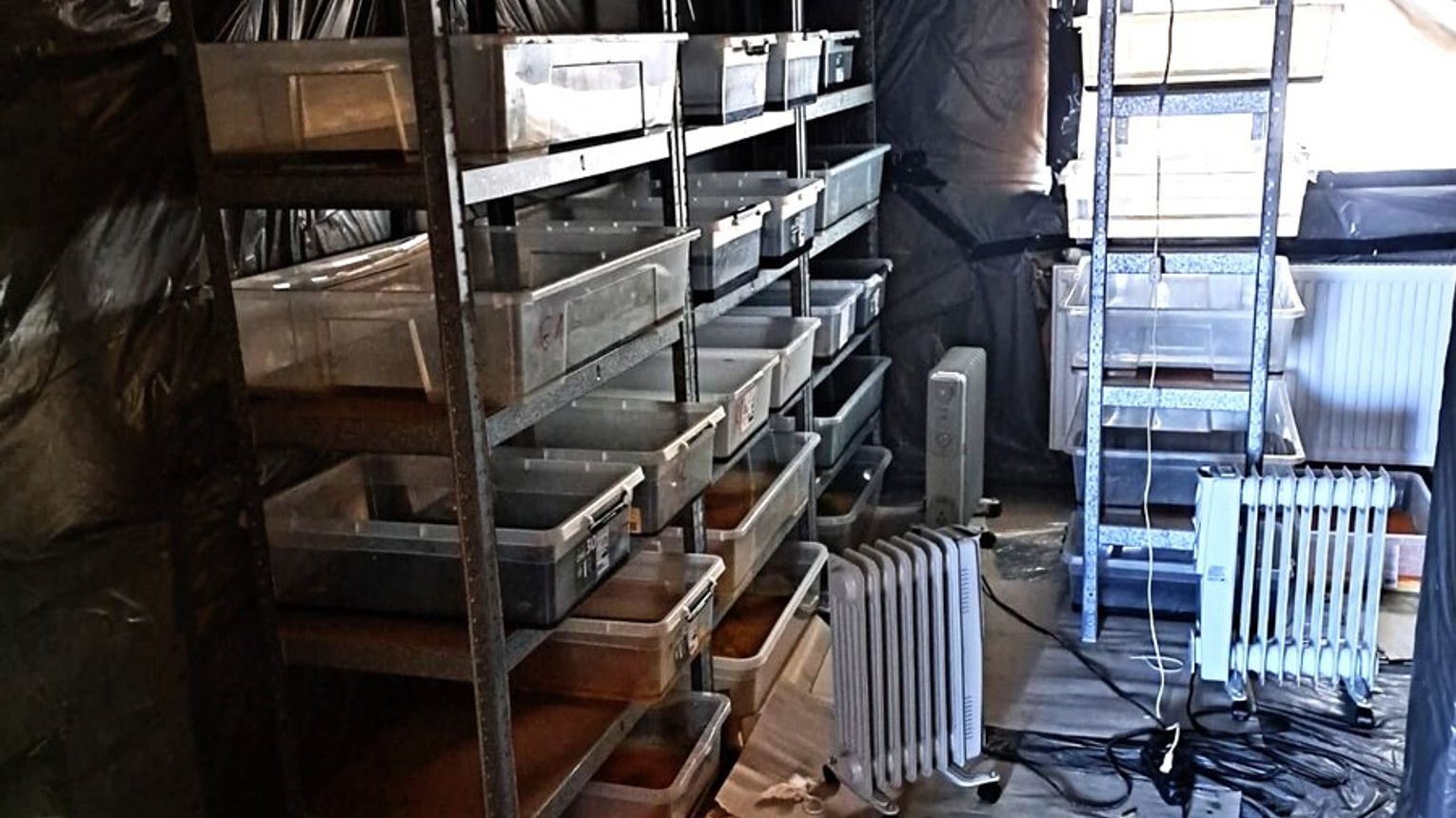 Potężne uderzenie małopolskich policjantów w narkobiznes. Ujawnili pół tony nielegalnych substancji o wartości 22,5 miliona złotych