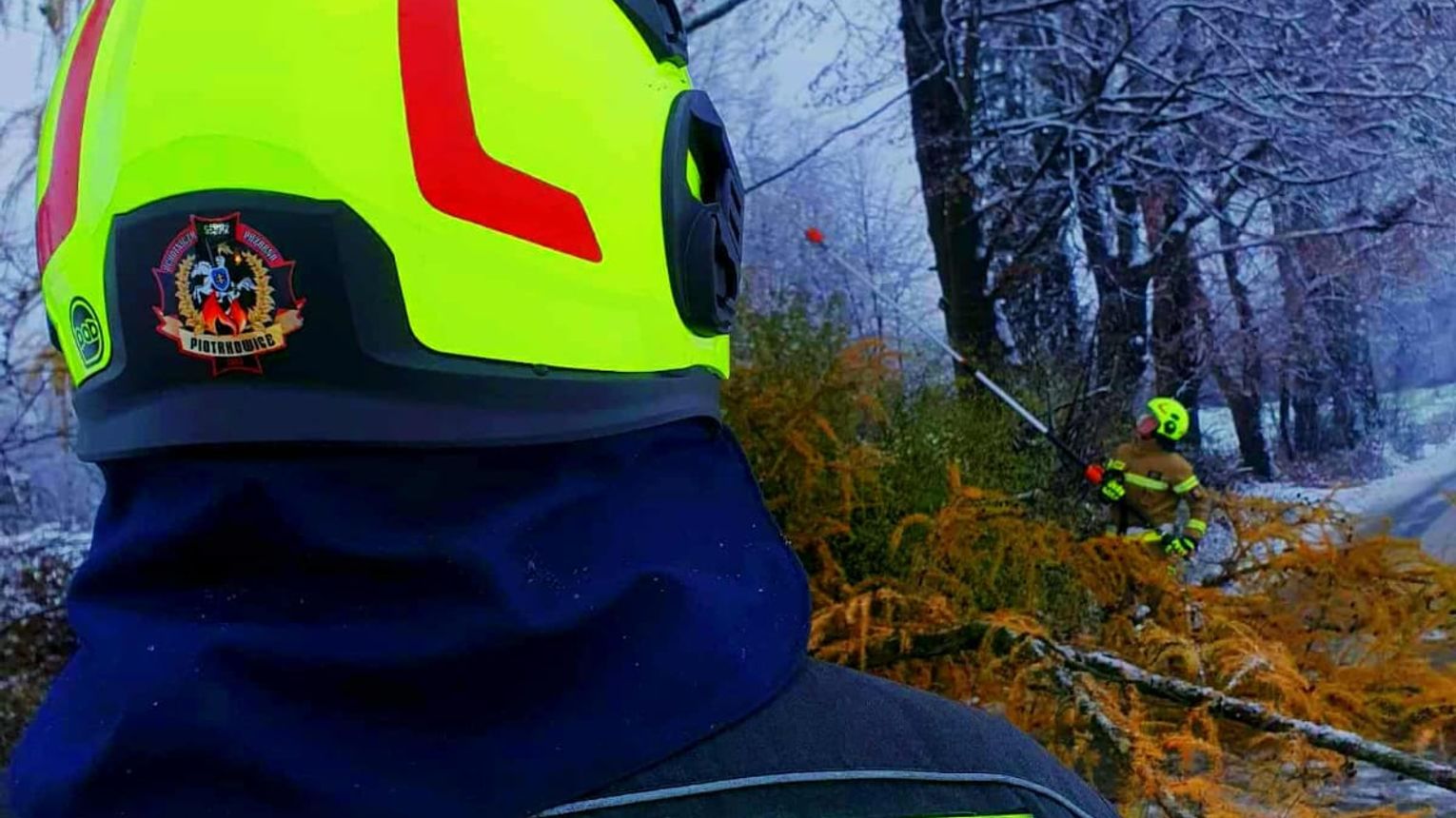 Powalone drzewa i nieprzejezdne drogi w regionie tarnowskim. Strażacy w pełnej gotowości