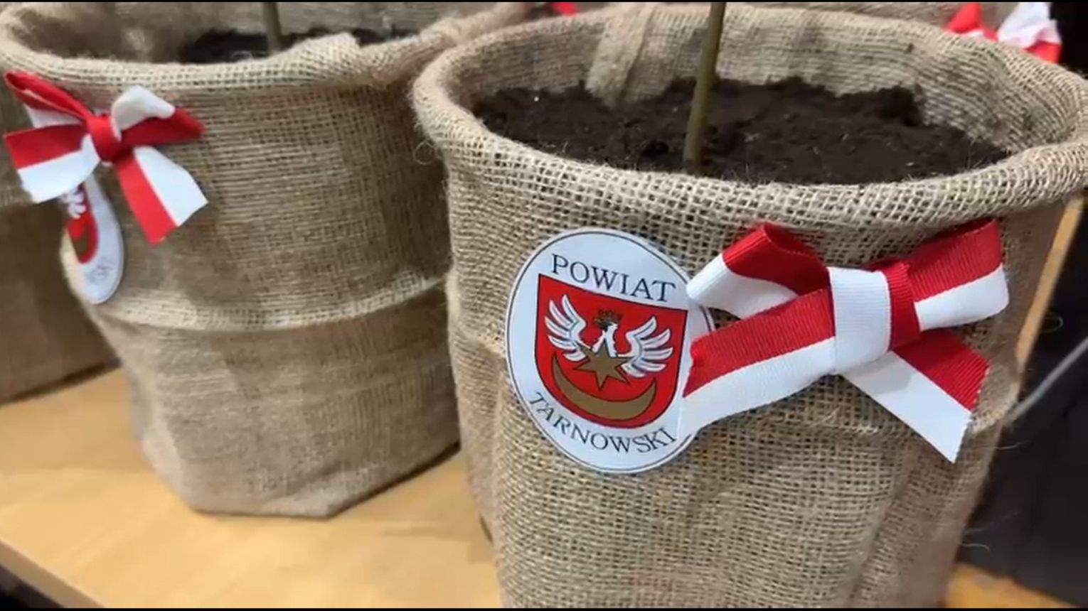 Powiat tarnowski upamiętnia 1000-lecie koronacji Bolesława Chrobrego