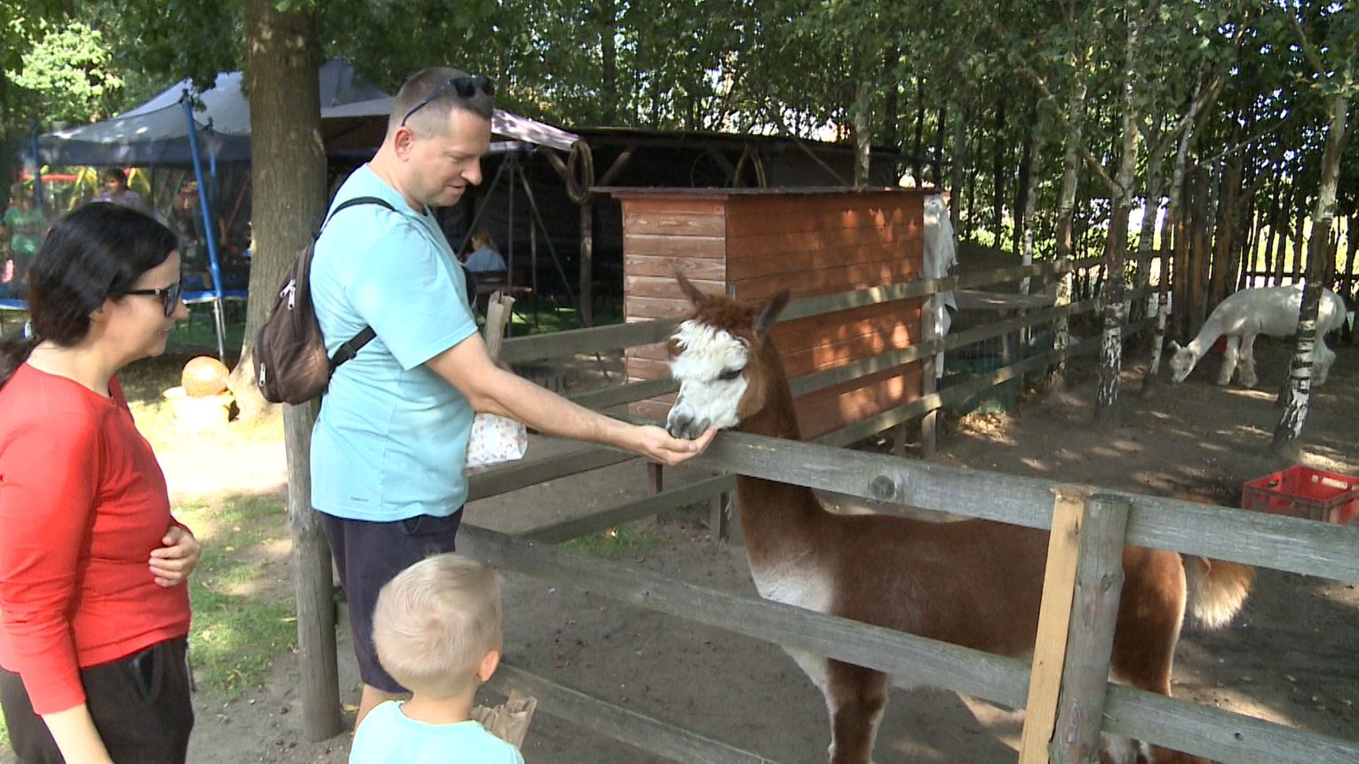 Rodzinne Babie Lato w Mini ZOO w Zaczarniu