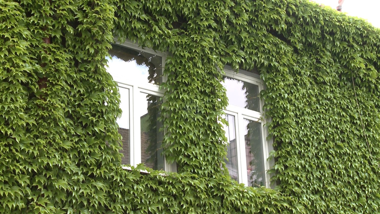 Ruszyła 12. edycja programu „Mieszkanie za remont”
