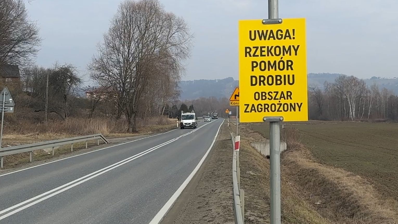 Rzekomy pomór drobiu i ptasia grypa w regionie tarnowskim