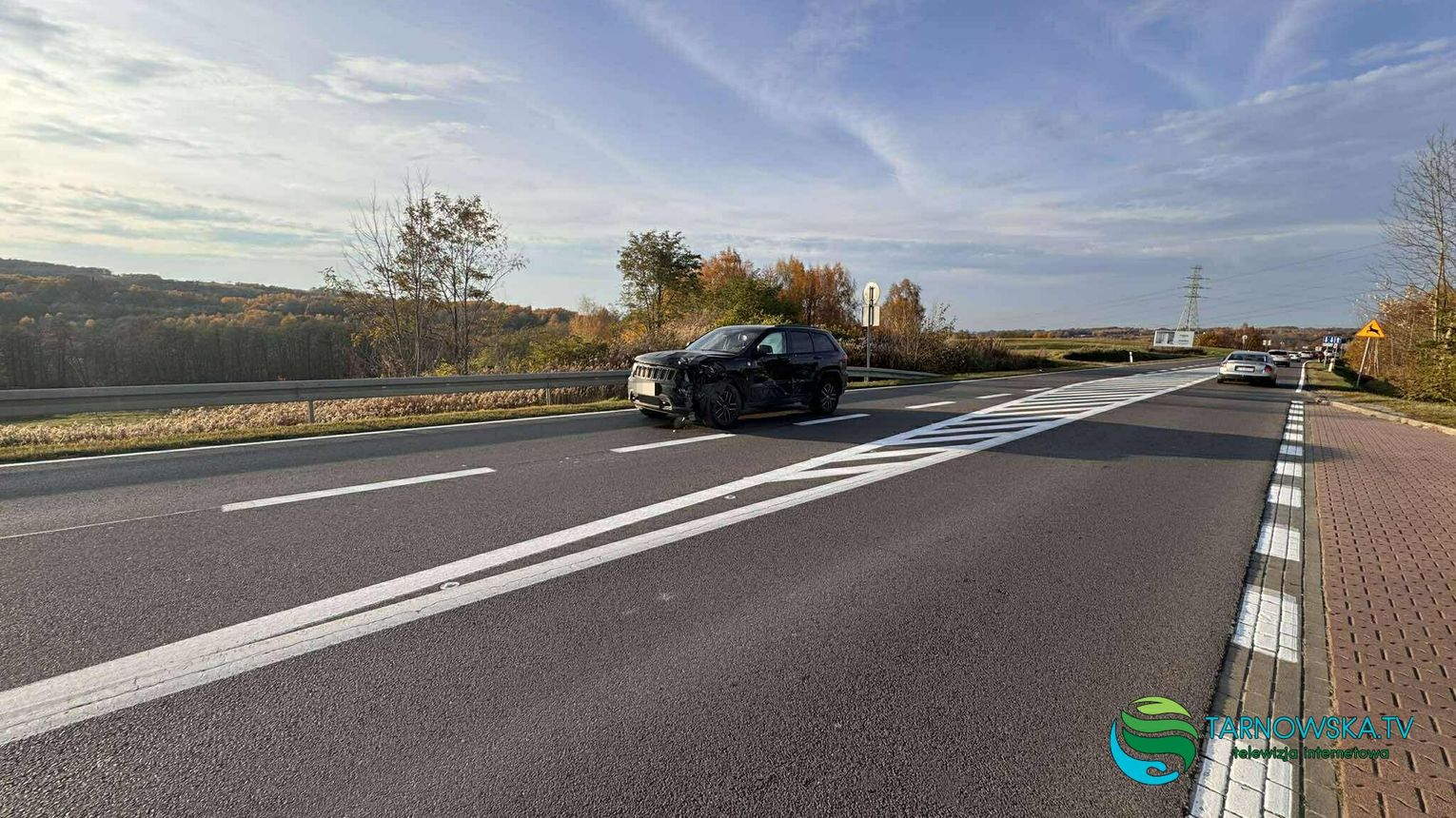 Sarna nie przeżyła zderzenia z Jeepem pod Tarnowem