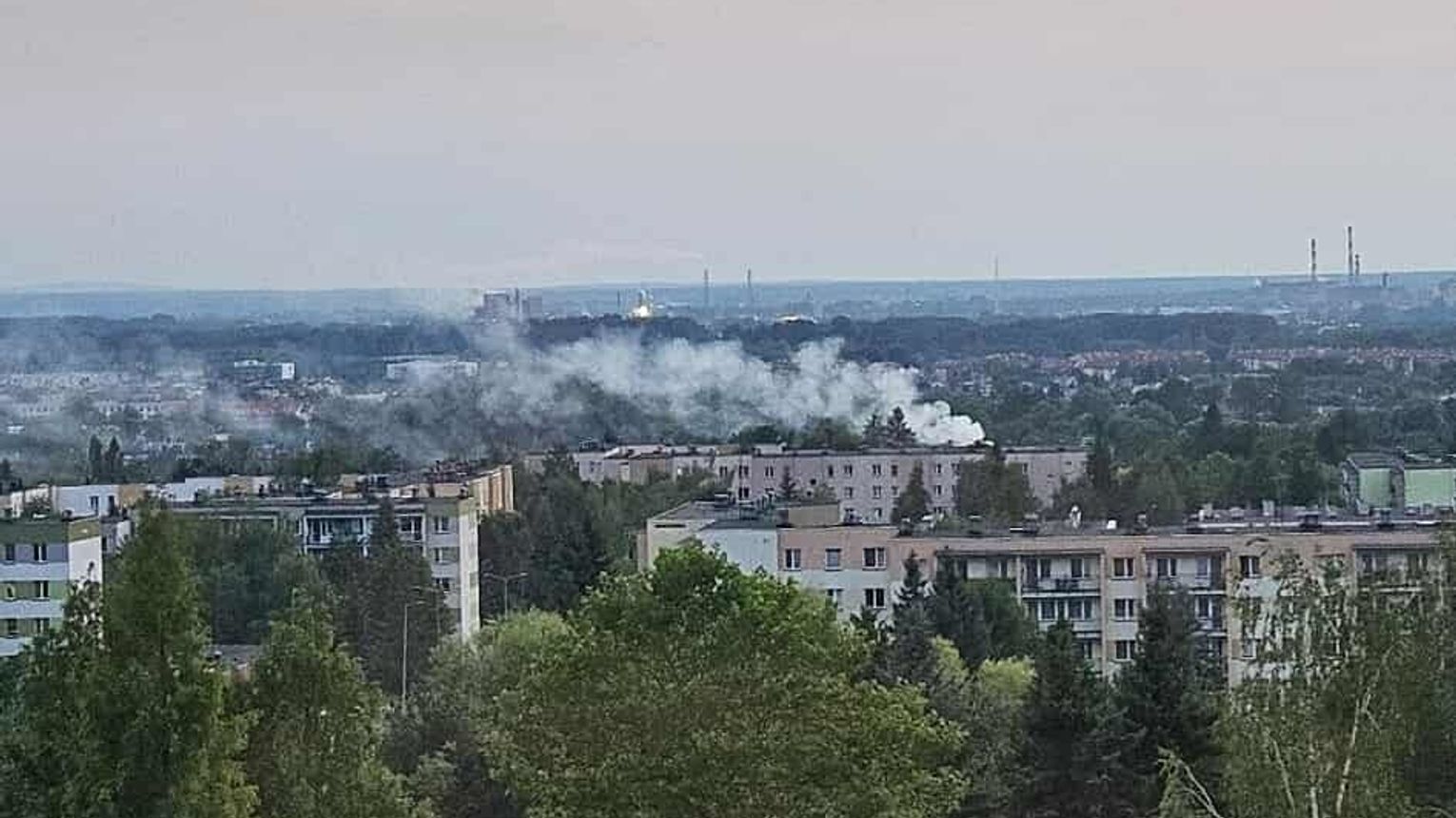 Strażacy szukali pożaru na jednym z osiedli w Tarnowie. Paliły się gałęzie przy ogródkach działkowych