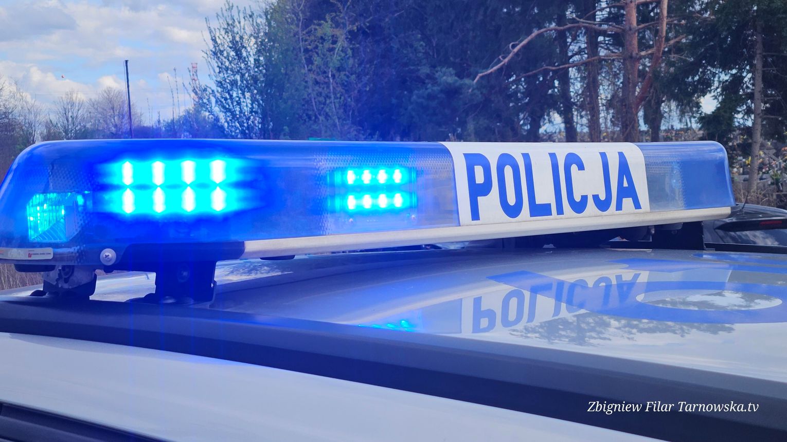 Ukradł papugę z restauracji w Krakowie. 45-latek zatrzymany przez policję