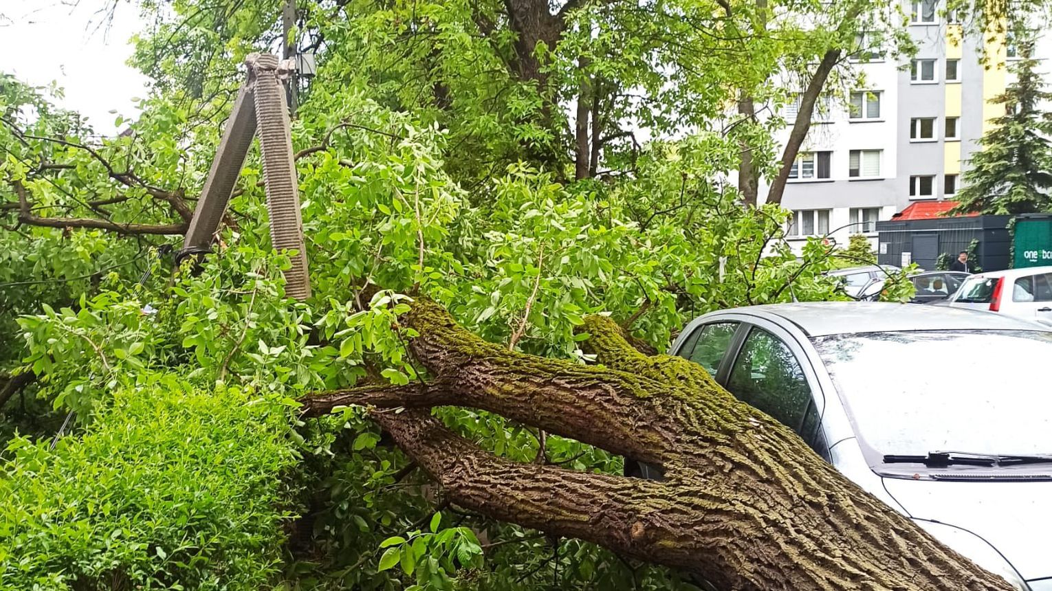 Uszkodzone linie energetyczne i samochody w Tarnowie