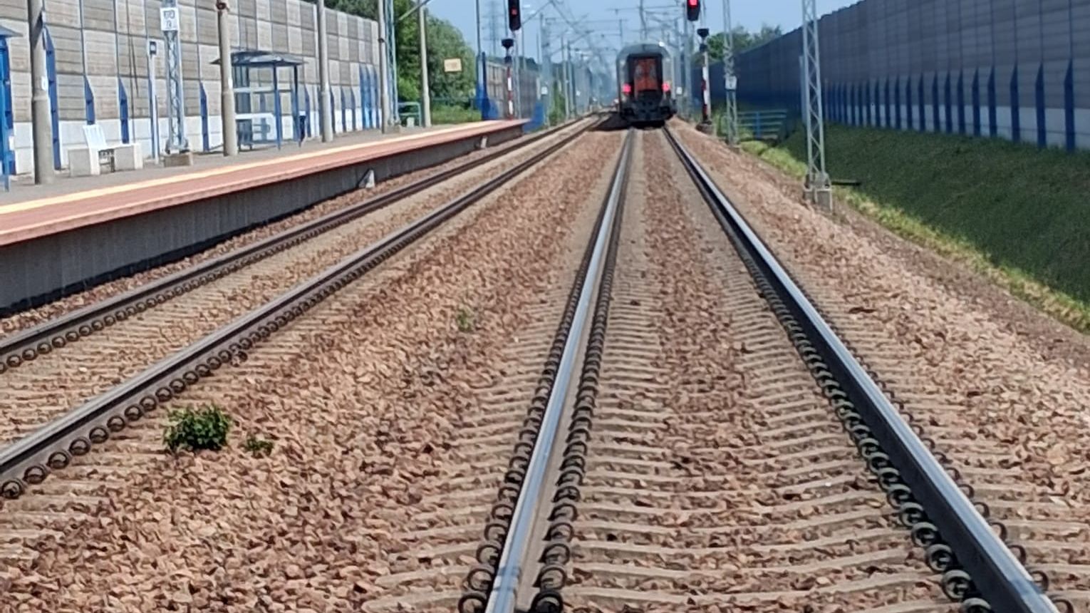 Zdarzenie na torach pod Brzeskiem. Osoba potrącona przez pociąg