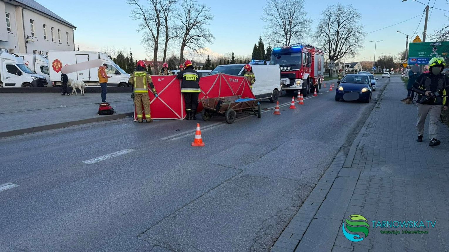 Zderzenie auta dostawczego z zaprzęgiem konnym w Tarnowie